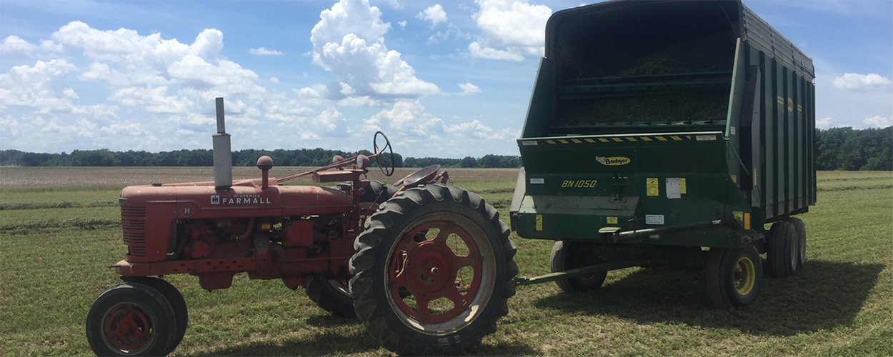 Spiker Farms Wheeler, IL Spiker Farms has everything from